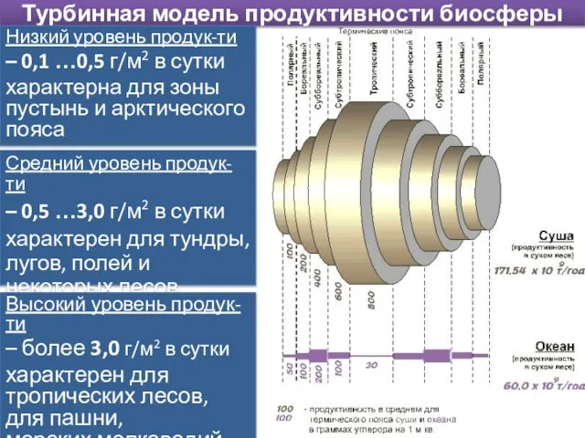 Турбинная модель продуктивности биосферы Низкий уровень продук-ти – 0,1 …0,5 г/м2