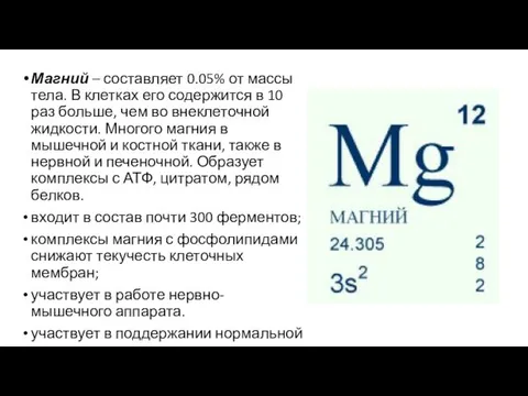 Магний – составляет 0.05% от массы тела. В клетках его содержится