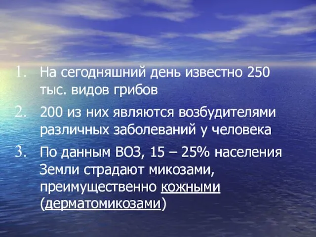 На сегодняшний день известно 250 тыс. видов грибов 200 из них