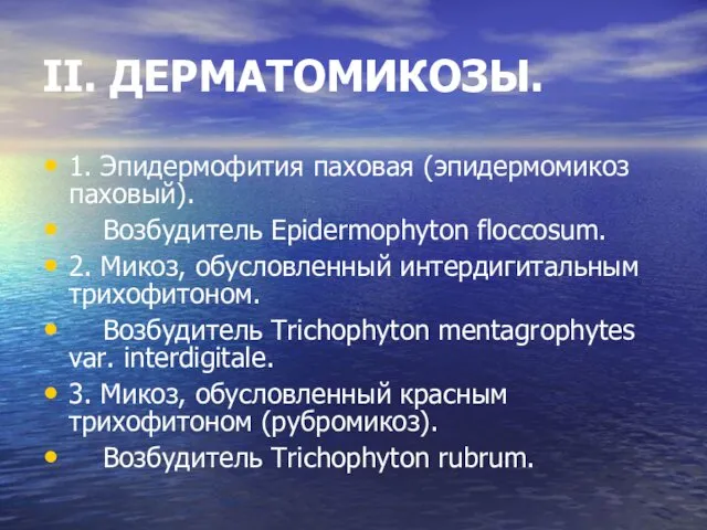 II. ДЕРМАТОМИКОЗЫ. 1. Эпидермофития паховая (эпидермомикоз паховый). Возбудитель Epidermophyton floccosum. 2.