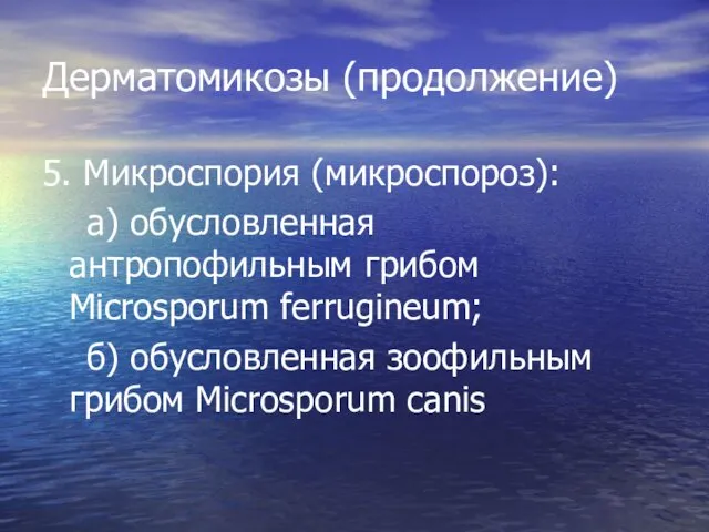 Дерматомикозы (продолжение) 5. Микроспория (микроспороз): а) обусловленная антропофильным грибом Microsporum ferrugineum;