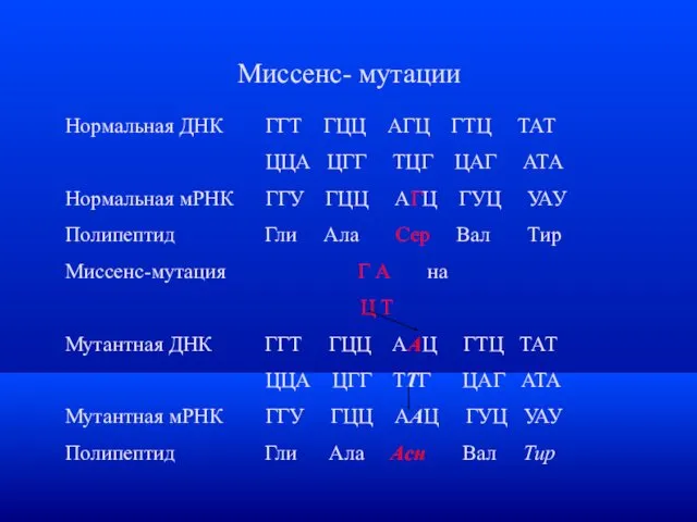 Миссенс- мутации Нормальная ДНК ГГТ ГЦЦ АГЦ ГТЦ ТАТ ЦЦА ЦГГ