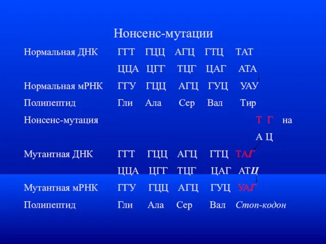 Нонсенс-мутации Нормальная ДНК ГГТ ГЦЦ АГЦ ГТЦ ТАТ ЦЦА ЦГГ ТЦГ