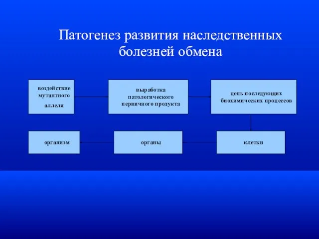 Патогенез развития наследственных болезней обмена воздействие мутантного аллеля выработка патологического первичного