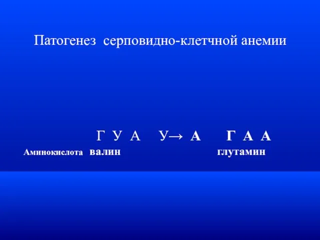 Патогенез серповидно-клетчной анемии Г У А У→ А Г А А Аминокислота валин глутамин