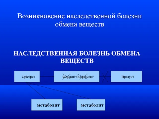 Возникновение наследственной болезни обмена веществ НАСЛЕДСТВЕННАЯ БОЛЕЗНЬ ОБМЕНА ВЕЩЕСТВ Субстрат Фермент+Кофермент Продукт метаболит метаболит