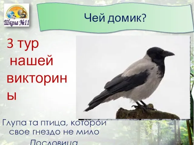 Чей домик? 3 тур нашей викторины Глупа та птица, которой свое гнездо не мило Пословица