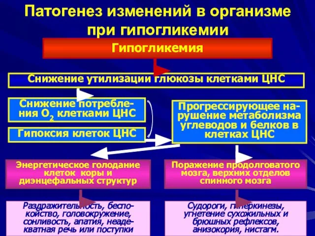 Патогенез изменений в организме при гипогликемии Гипогликемия Снижение утилизации глюкозы клетками