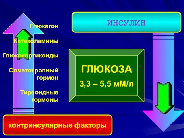 ГЛЮКОЗА 3,3 – 5,5 мМ/л контринсулярные факторы ИНСУЛИН Глюкагон Катехоламины Глюкокортикоиды Соматотропный гормон Тиреоидные гормоны