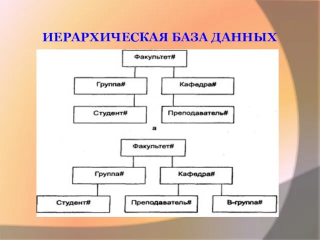 ИЕРАРХИЧЕСКАЯ БАЗА ДАННЫХ