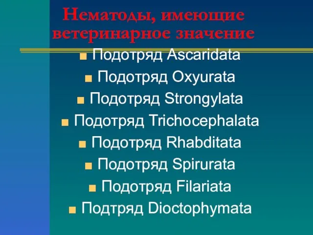 Нематоды, имеющие ветеринарное значение Подотряд Ascaridata Подотряд Oxyurata Подотряд Strongylata Подотряд