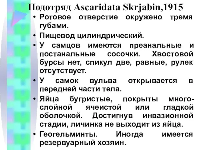 Подотряд Ascaridata Skrjabin,1915 Ротовое отверстие окружено тремя губами. Пищевод цилиндрический. У