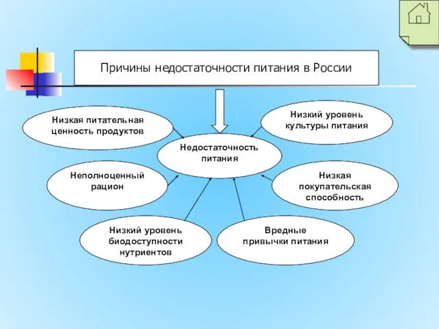 Недостаточность питания Низкая питательная ценность продуктов Неполноценный рацион Низкий уровень биодоступности