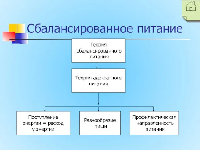 Сбалансированное питание Теория сбалансированного питания Профилактическая направленность питания Теория адекватного питания