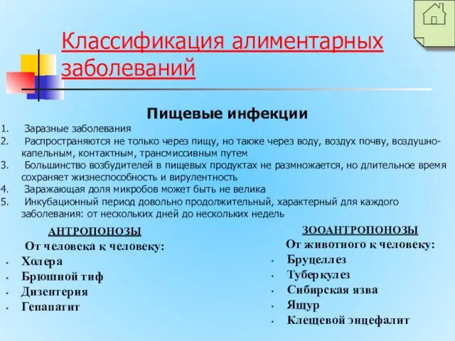 Классификация алиментарных заболеваний АНТРОПОНОЗЫ От человека к человеку: Холера Брюшной тиф