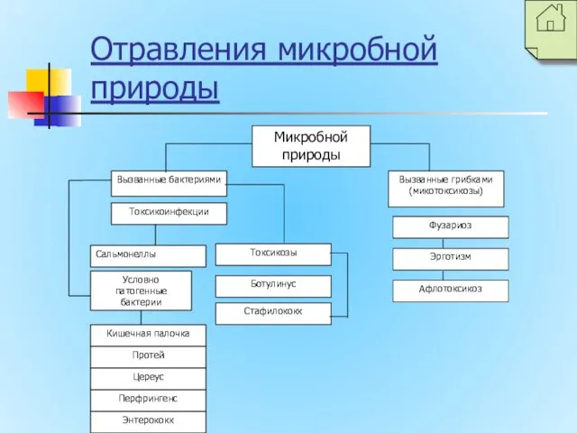 Отравления микробной природы Микробной природы Вызванные бактериями Вызванные грибками (микотоксикозы) Фузариоз