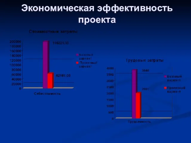 Экономическая эффективность проекта