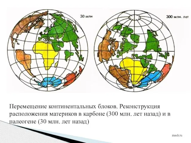 Перемещение континентальных блоков. Реконструкция расположения материков в карбоне (300 млн. лет