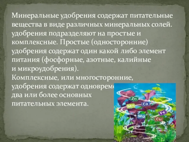 Минеральные удобрения содержат питательные вещества в виде различных минеральных солей. удобрения