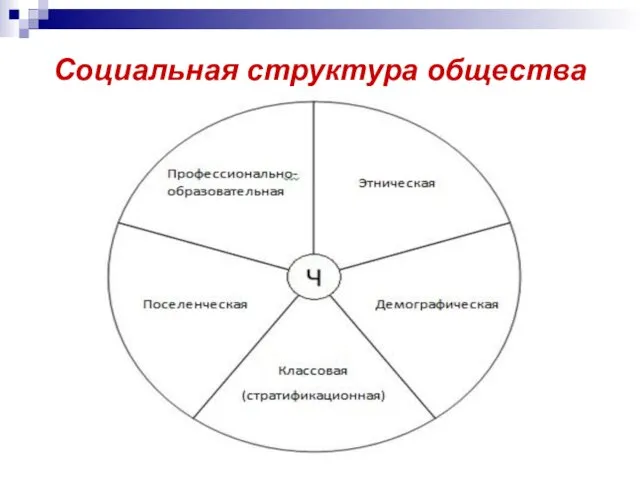 Социальная структура общества