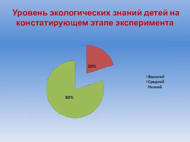 Уровень экологических знаний детей на констатирующем этапе эксперимента