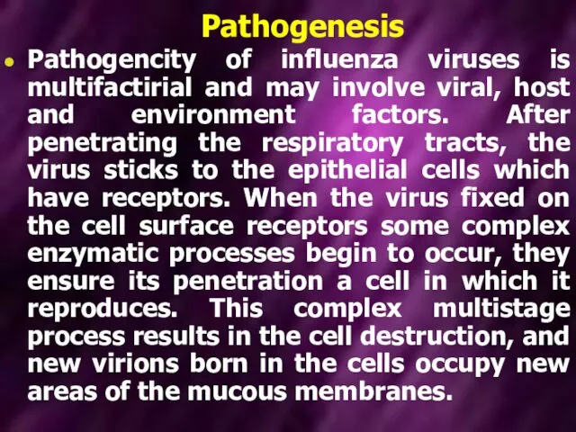Pathogenesis Pathogencity of influenza viruses is multifactirial and may involve viral,