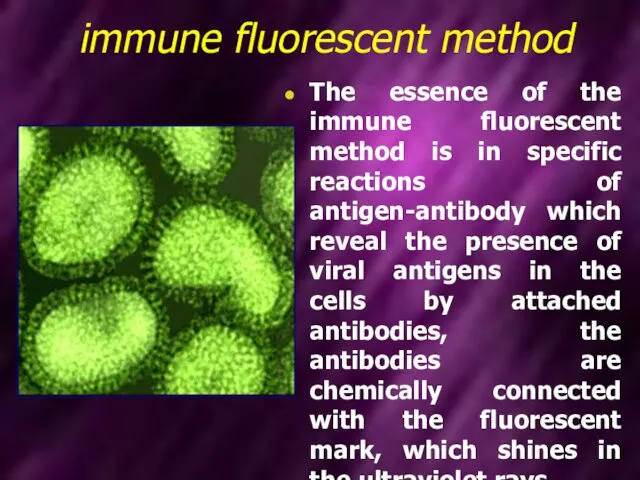 immune fluorescent method The essence of the immune fluorescent method is