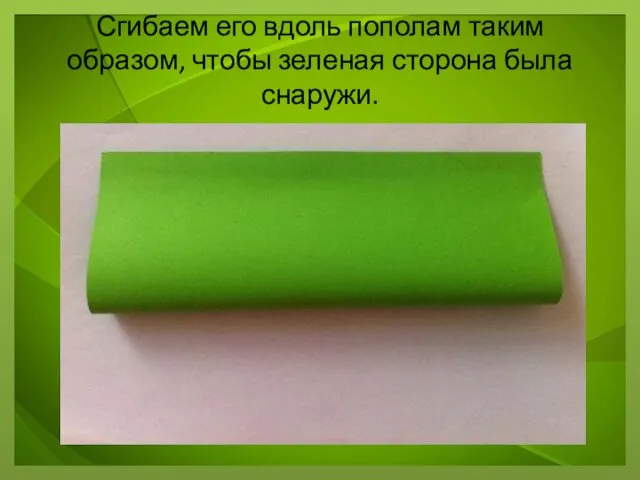 Сгибаем его вдоль пополам таким образом, чтобы зеленая сторона была снаружи.