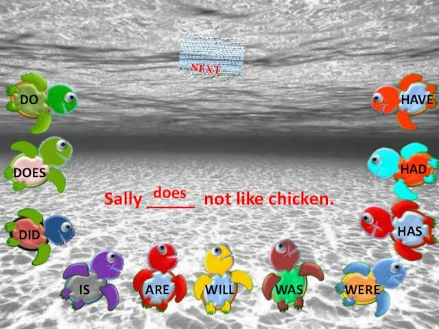 Sally _____ not like chicken. does