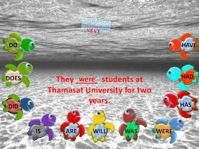 They _____ students at Thamasat University for two years. were