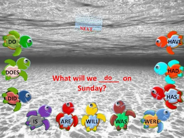 What will we _____ on Sunday? do