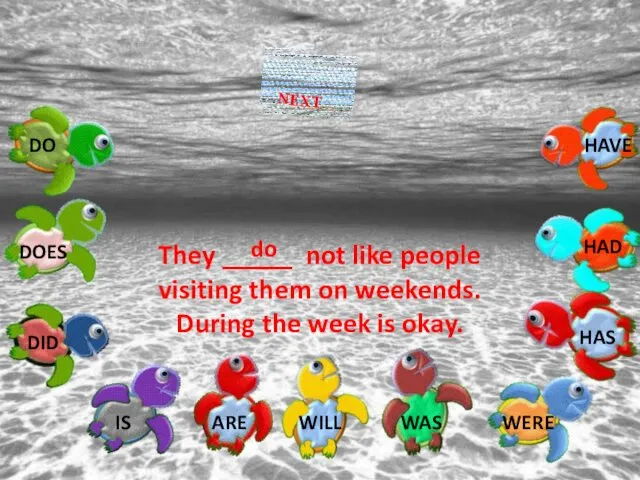 They _____ not like people visiting them on weekends. During the week is okay. do