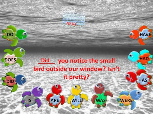 _____ you notice the small bird outside our window? Isn’t it pretty? Did