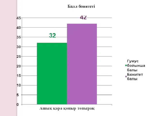 Балл бонитеті