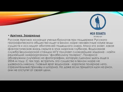 Арктика. Зазеркалье Русская Арктика: команда ученых-биологов при поддержке Русского географического общества