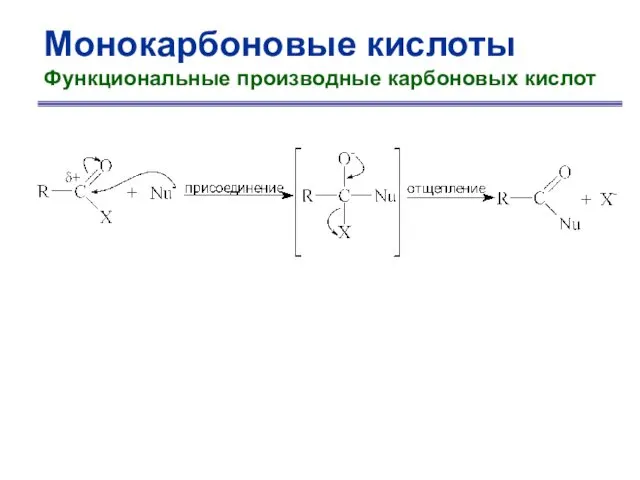 Монокарбоновые кислоты Функциональные производные карбоновых кислот