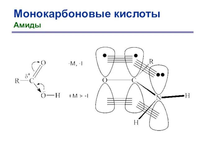 Монокарбоновые кислоты Амиды