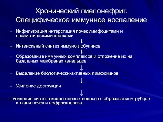 Хронический пиелонефрит. Специфическое иммунное воспаление Инфильтрация интерстиция почек лимфоцитами и плазматическими