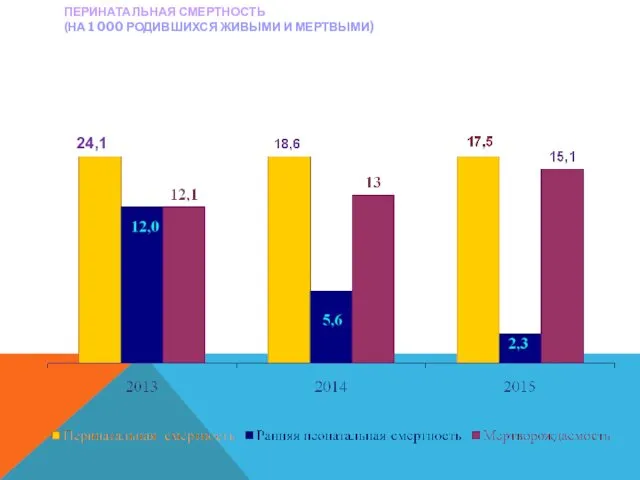 ПЕРИНАТАЛЬНАЯ СМЕРТНОСТЬ (НА 1 000 РОДИВШИХСЯ ЖИВЫМИ И МЕРТВЫМИ) 24,1