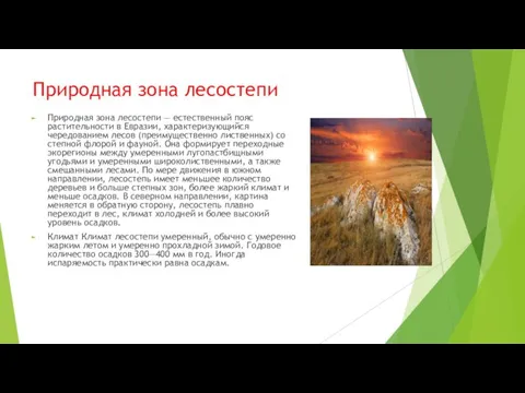 Природная зона лесостепи Природная зона лесостепи — естественный пояс растительности в