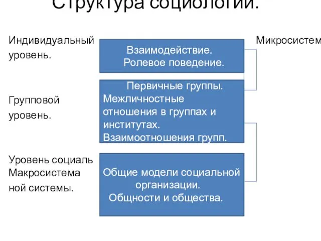 Структура социологии. Индивидуальный Микросистема уровень. Групповой уровень. Уровень социаль Макросистема ной