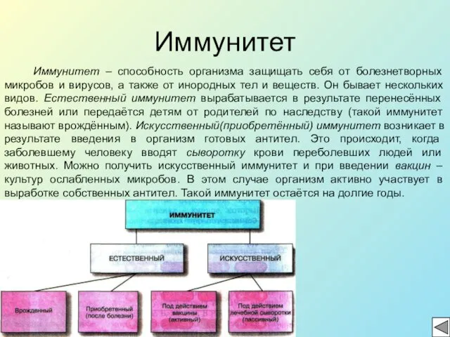 Иммунитет Иммунитет – способность организма защищать себя от болезнетворных микробов и