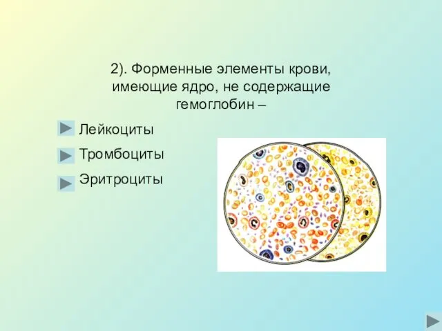 2). Форменные элементы крови, имеющие ядро, не содержащие гемоглобин – Лейкоциты Тромбоциты Эритроциты