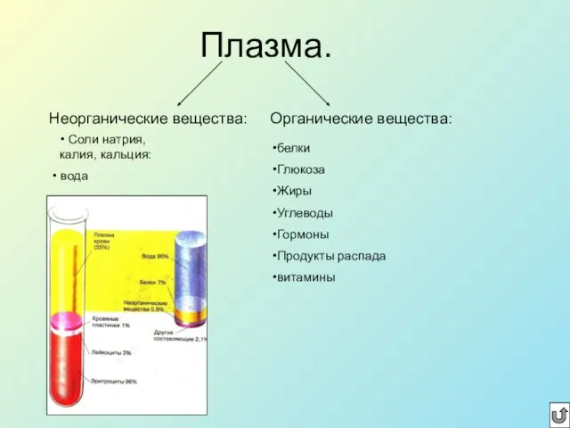 Плазма. Неорганические вещества: Органические вещества: белки Глюкоза Жиры Углеводы Гормоны Продукты