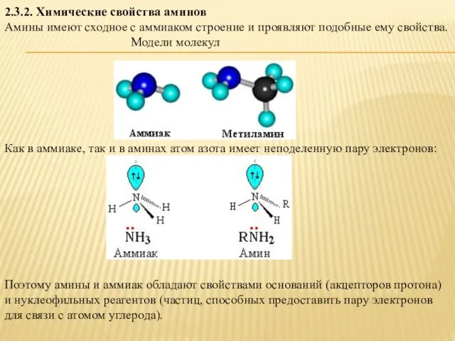 2.3.2. Химические свойства аминов Амины имеют сходное с аммиаком строение и