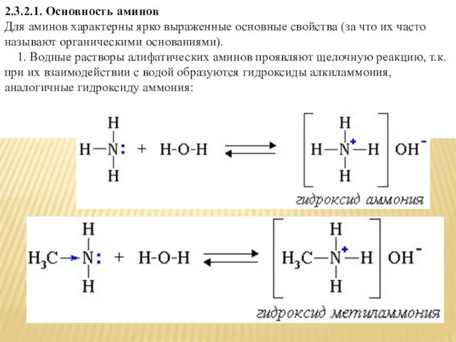 2.3.2.1. Основность аминов Для аминов характерны ярко выраженные основные свойства (за