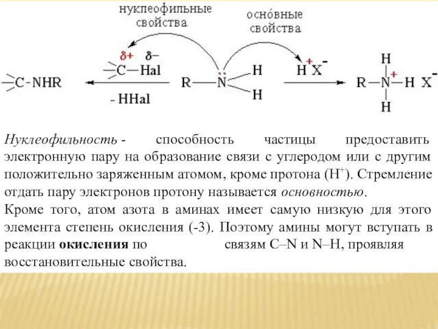 Нуклеофильность - способность частицы предоставить электронную пару на образование связи с