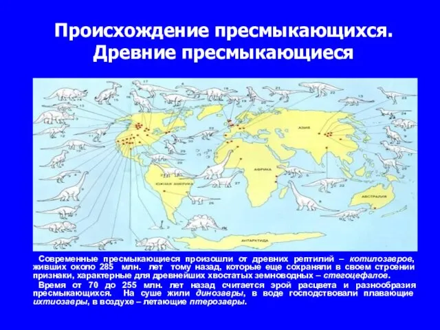 Происхождение пресмыкающихся. Древние пресмыкающиеся Современные пресмыкающиеся произошли от древних рептилий –