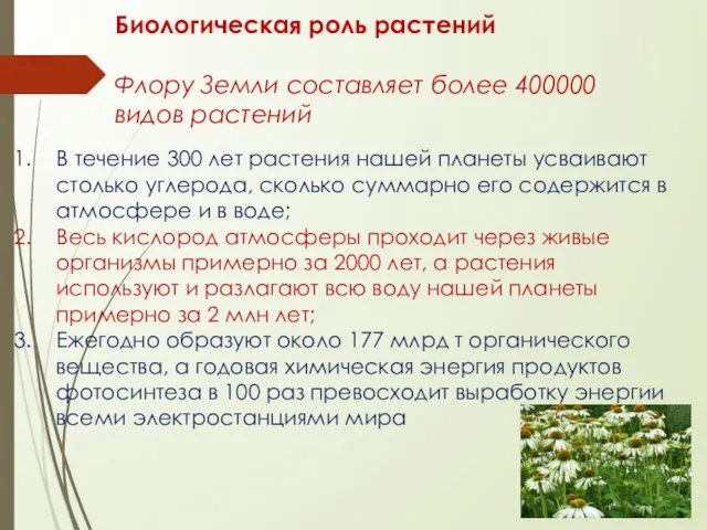 Биологическая роль растений Флору Земли составляет более 400000 видов растений В