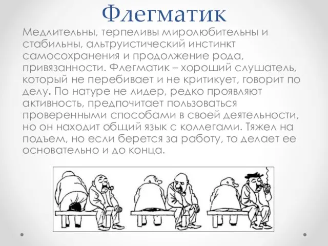 Флегматик Медлительны, терпеливы миролюбительны и стабильны, альтруистический инстинкт самосохранения и продолжение